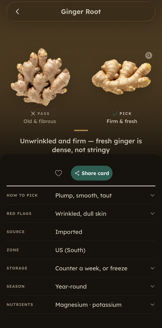 The ginger root guide, dark theme