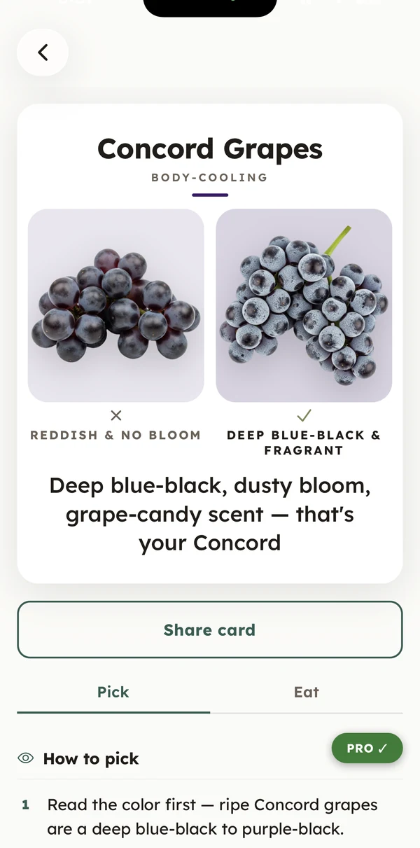 Pick guide for Concord grapes